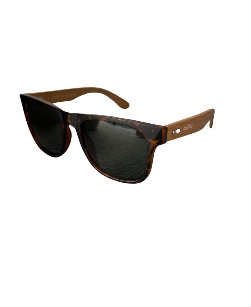 Gafas de Sol Masculinas TR C04 - Olu'Olu Sunglass