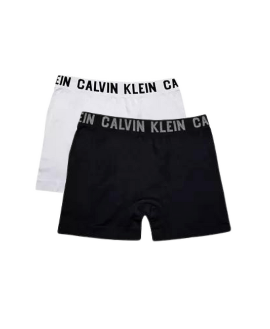 KIT 2 Cueca Trunk Ropa Interior Microfibra - Calvin Klein